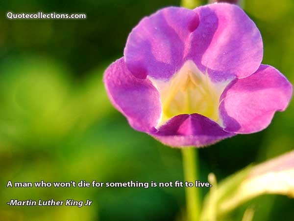 Martin Luther King, Jr. quotes1